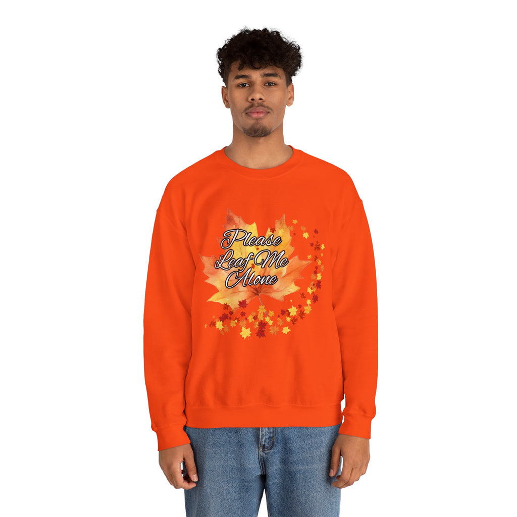 Fall Vibes Sweatshirt, Please Leave Me Alone Crewneck, Autumn Fashion, Cozy Fall Apparel, Gift for Introverts