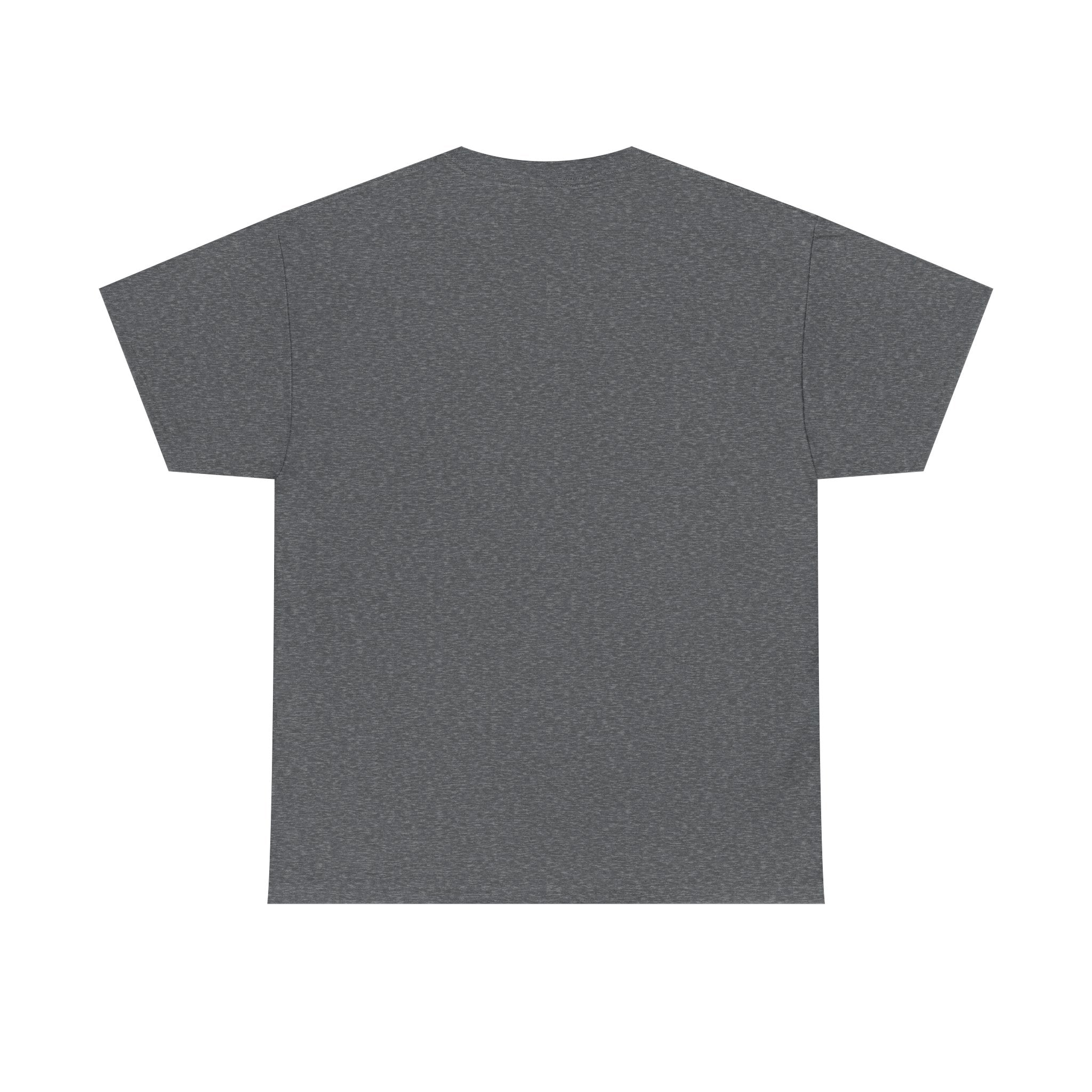 Triumph Over Evil Unisex Heavy Cotton Tee | Inspirational Tee, Casual Wear, Gift for Heroes, Motivational Shirt, Everyday Style