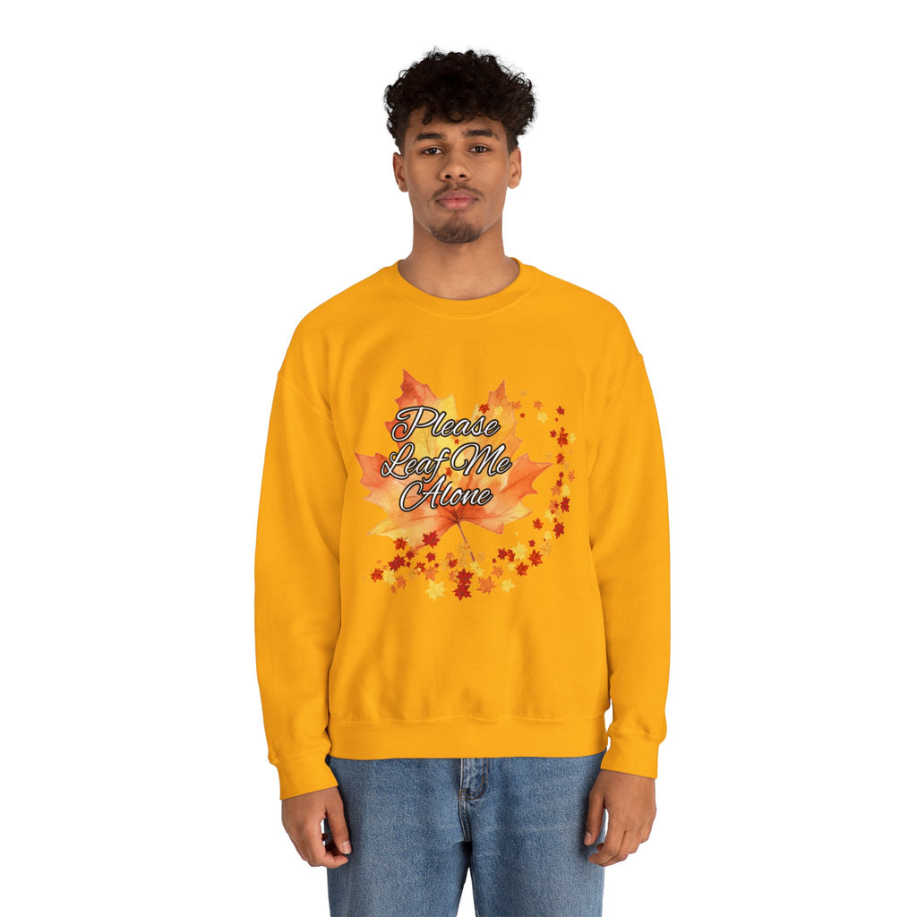 Fall Vibes Sweatshirt, Please Leave Me Alone Crewneck, Autumn Fashion, Cozy Fall Apparel, Gift for Introverts