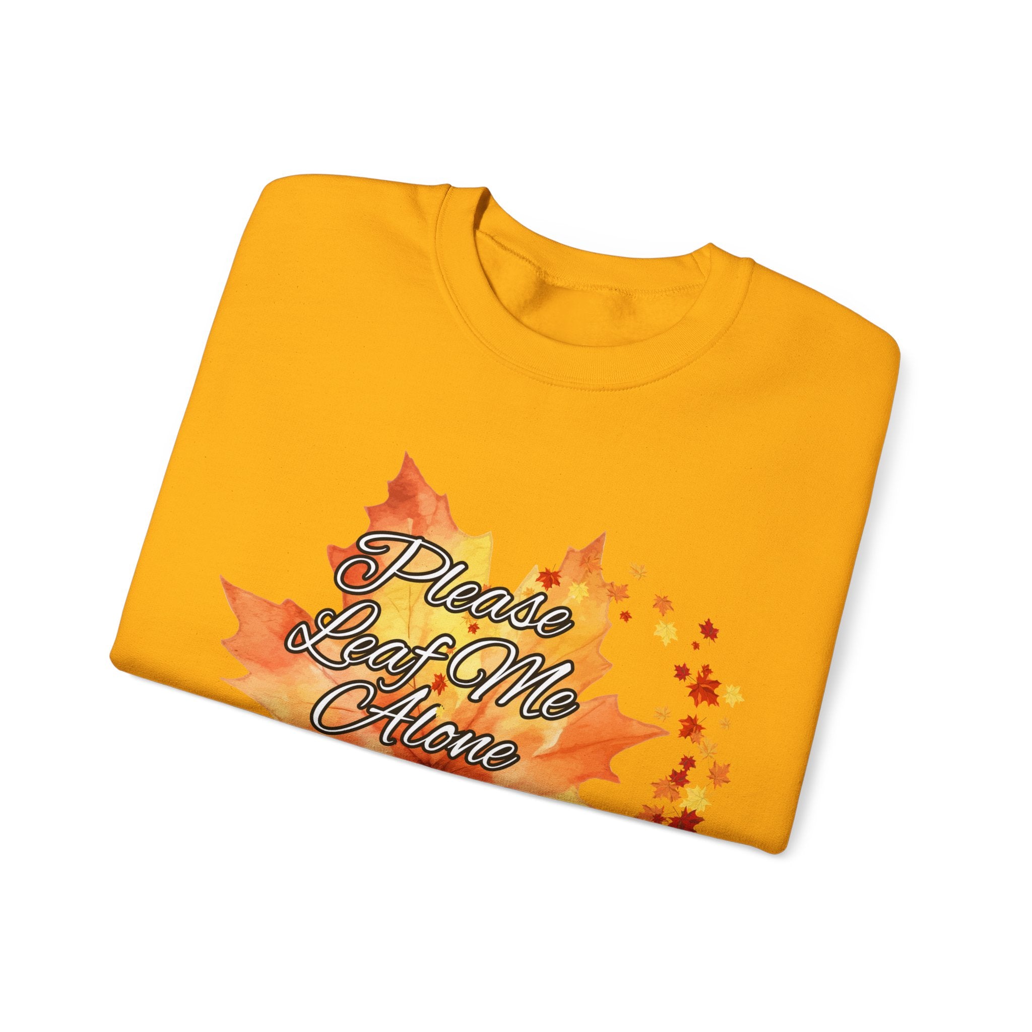 Fall Vibes Sweatshirt, Please Leave Me Alone Crewneck, Autumn Fashion, Cozy Fall Apparel, Gift for Introverts